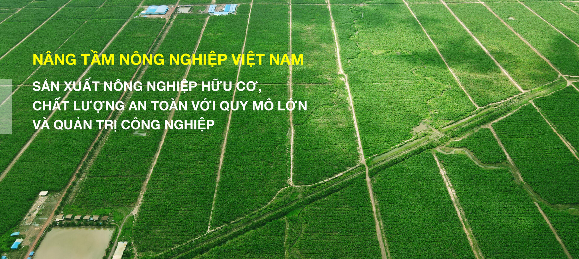 Công ty Cổ phần Nông nghiệp Trường Hải