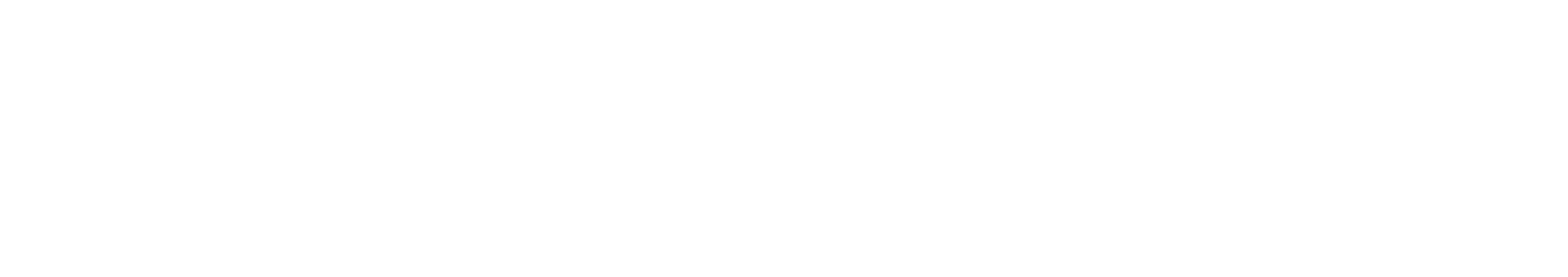 Orient Software