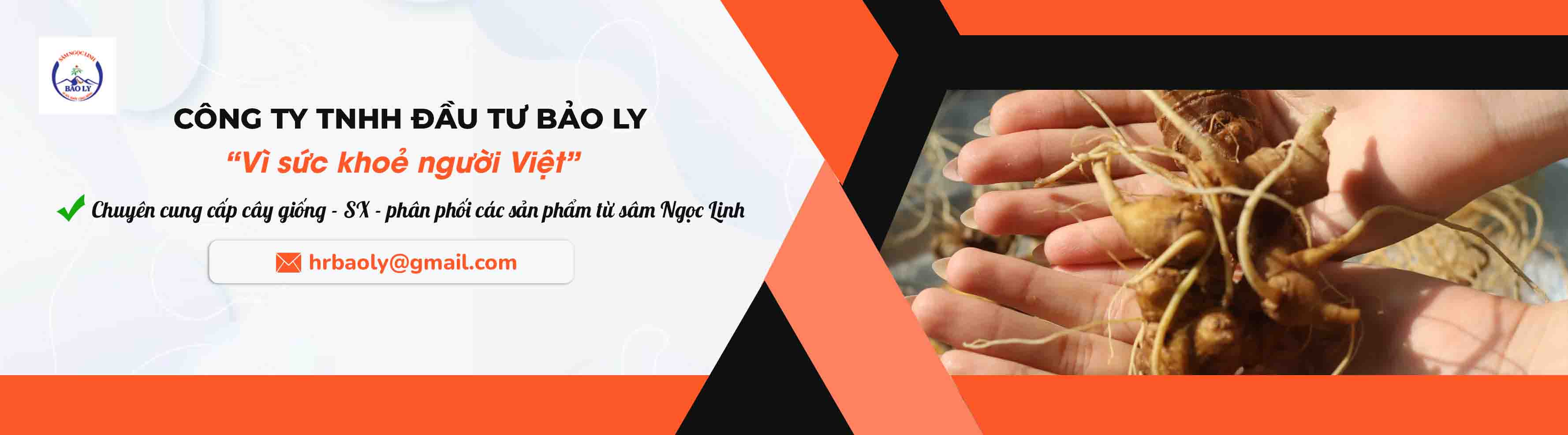 Công Ty TNHH Đầu Tư Bảo Ly