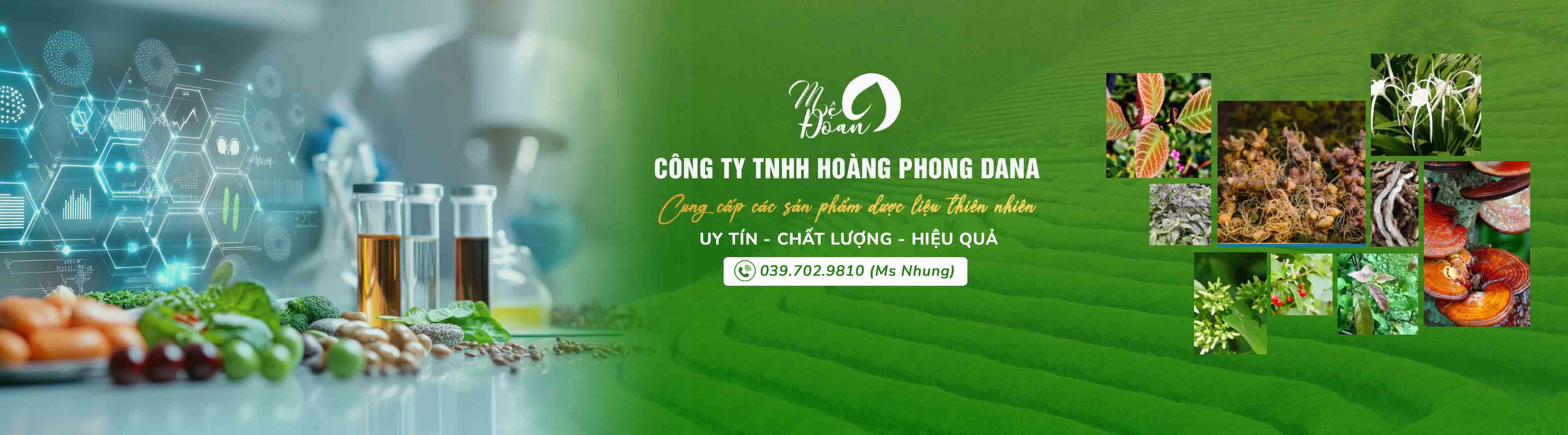 Công Ty TNHH Hoàng Phong Dana
