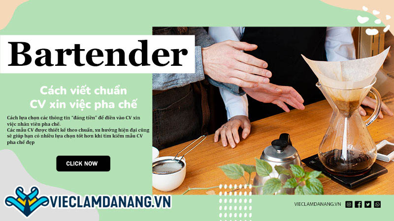 Là một Bartander chuyên nghiệp – Cách viết CV xin việc pha chế “hạ gục” ngay nhà tuyển dụng