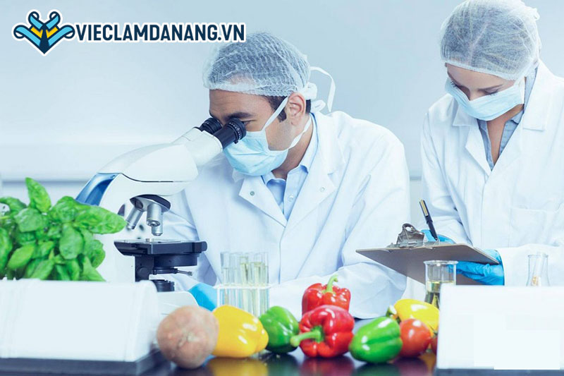 Ngành công nghệ thực phẩm Đà Nẵng 2023