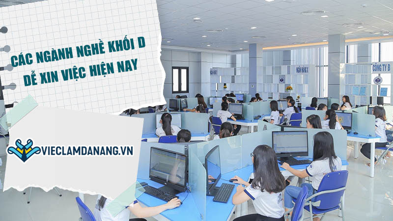 Khối D gồm những môn nào? Top 7 các ngành nghề khối D dễ xin việc
