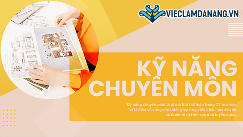 Các yếu tố cấu thành nên kỹ năng chuyên môn là gì