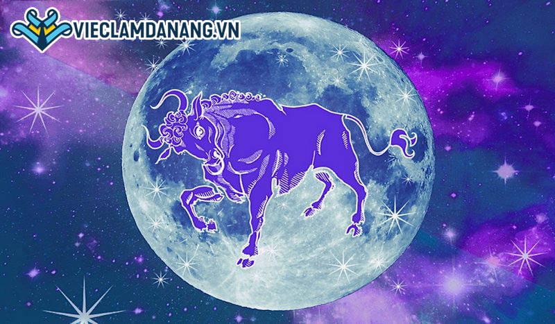 10 ngành nghề này rất phù hợp với cung kim ngưu