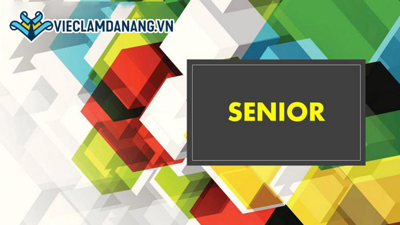 Senior là gì? 