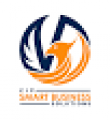 VIP SMART BUSINESS SOLUTIONS